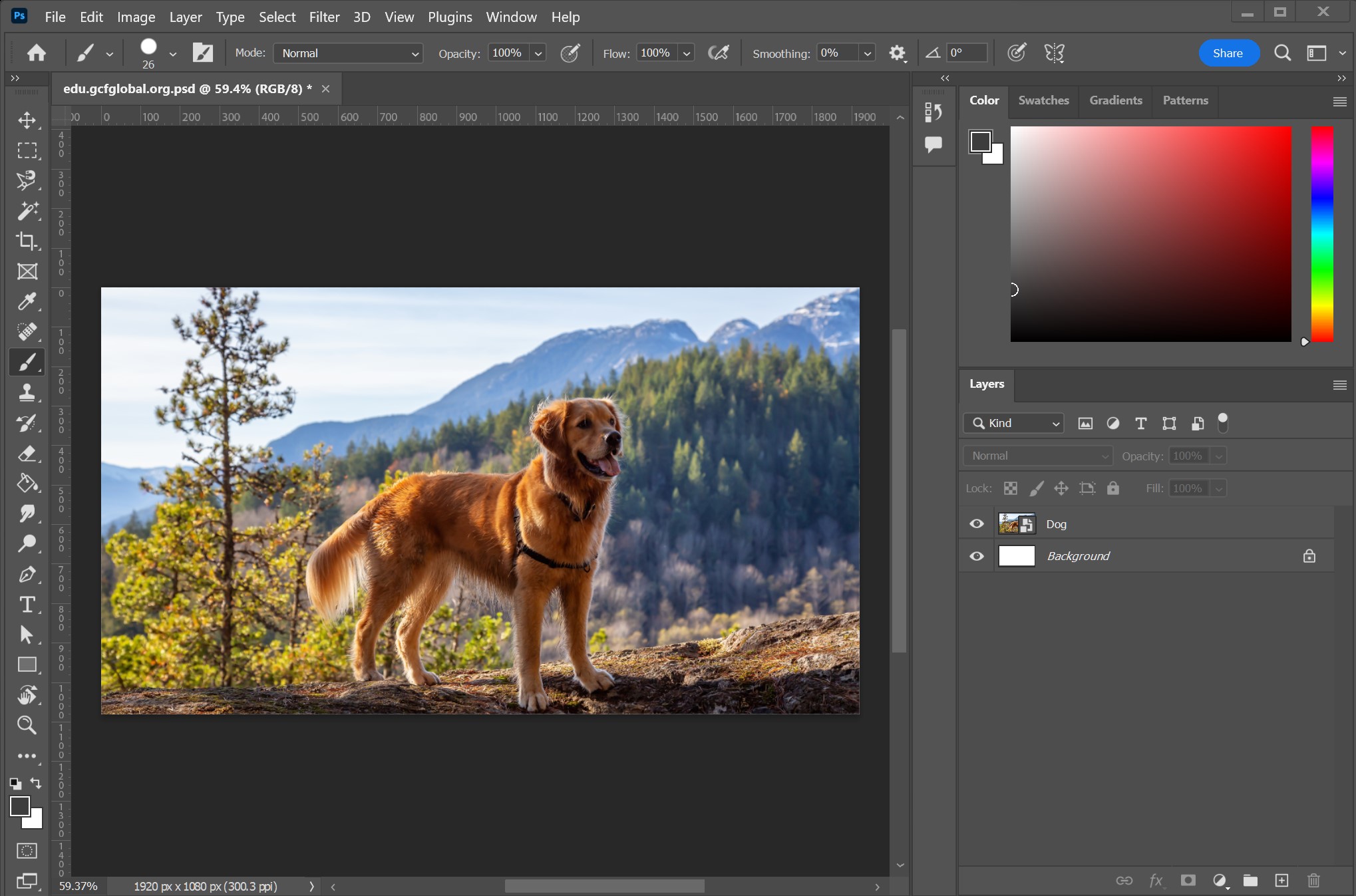 Master Adobe Photoshop: From Beginner to Professional